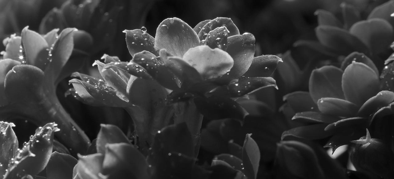 Test4